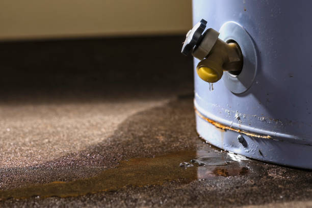 Best Residential water damage restoration  in , UT