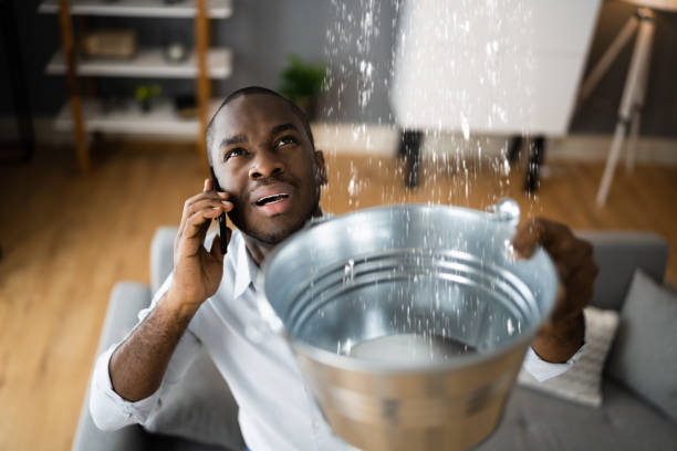 Best Flood damage cleanup  in , UT