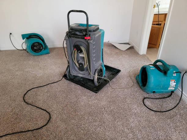 Best Mold removal after water damage  in , UT