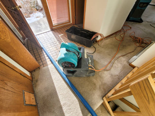 Best Flood damage cleanup  in , UT