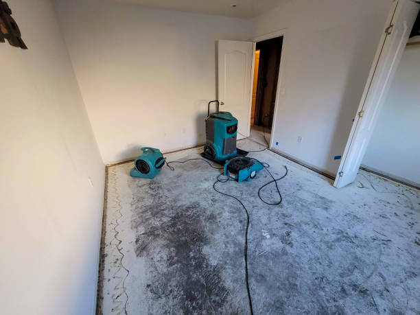Best Water damage restoration mold remediation  in , UT