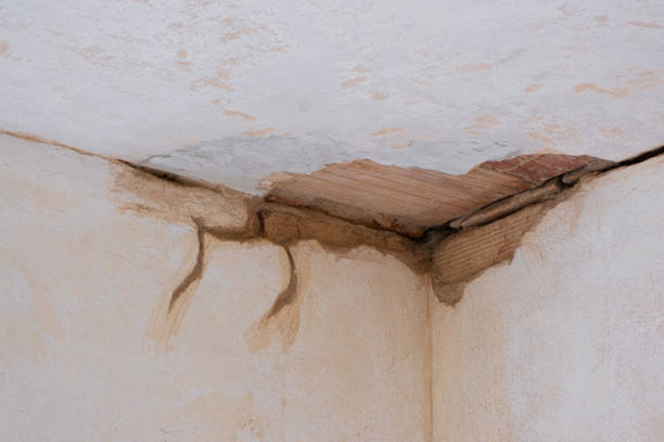 Best 24-hour water damage restoration  in , UT