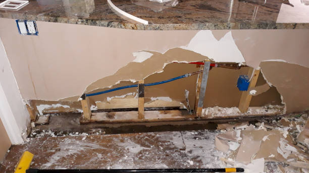 Best Water damage contractors near me  in , UT