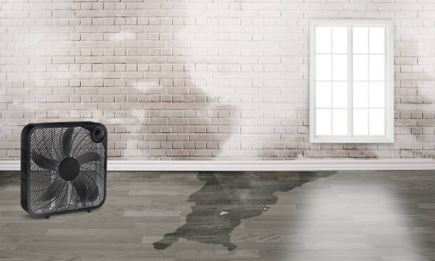 Best Water damage restoration company  in , UT