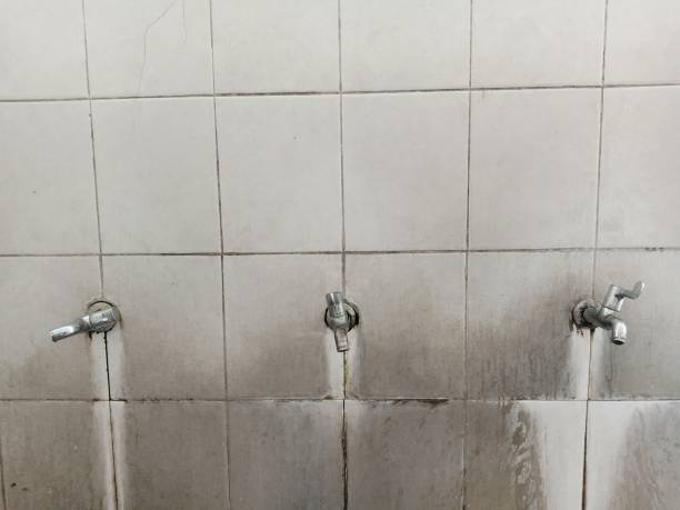Best Ceiling water damage repair  in , UT