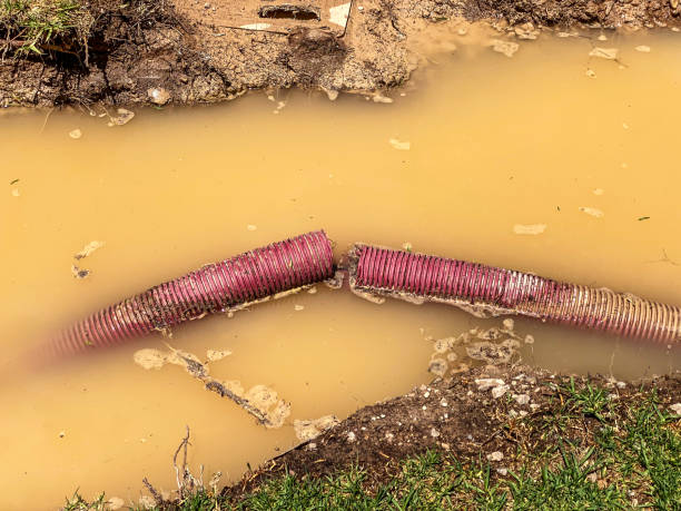 Best Mold removal after water damage  in , UT