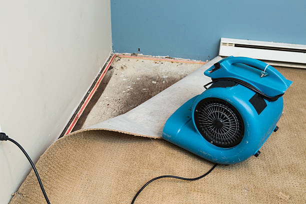 Best Water damage restoration near me  in , UT