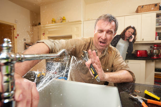 Best Water damage cleanup near me  in , UT
